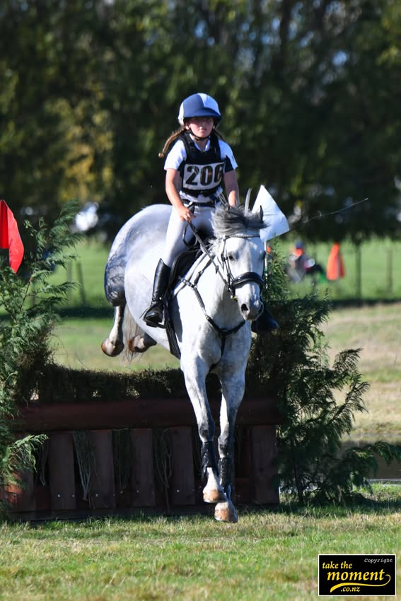 Young rider on a grey pony over a cross country fence
