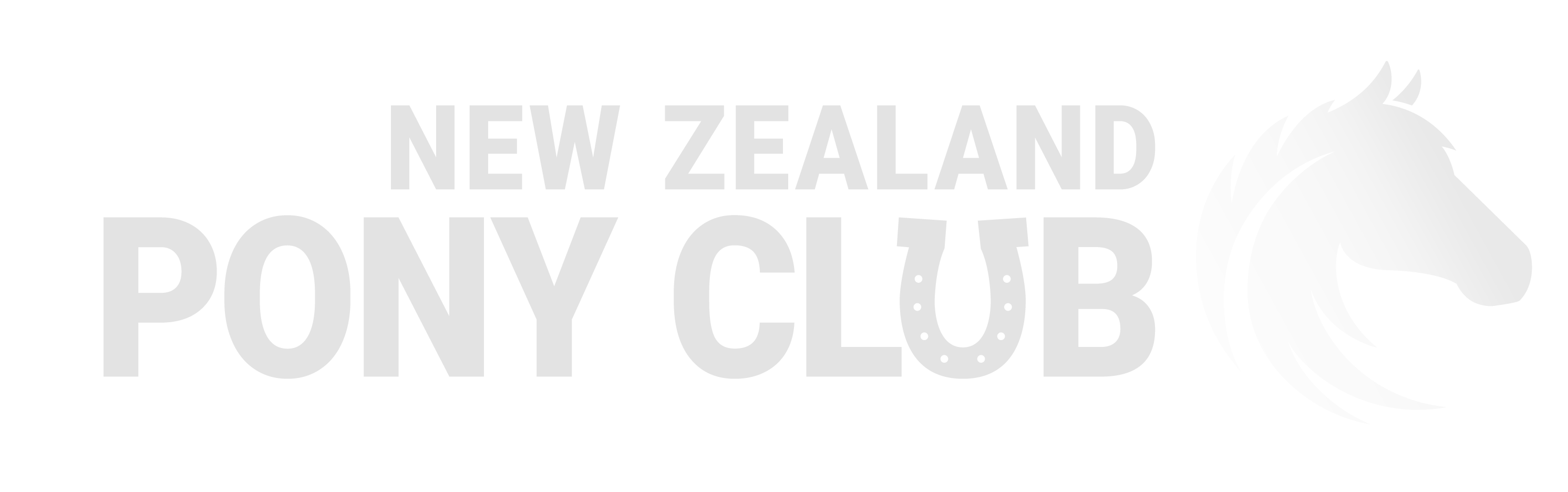 New Zealand Pony Club
